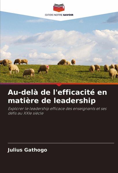 Au-delà de l'efficacité en matière de leadership Au-delà de l'efficacité en matière de leadership