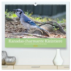 Kanadas charmante Kleintiere - Bezaubernde Einblicke in die Natur (hochwertiger Premium Wandkalender 2025 DIN A2 quer), Kunstdruck in Hochglanz