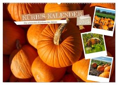 KÜRBIS KALENDER - Die schönsten Kürbisse des Jahres (Wandkalender 2025 DIN A2 quer), CALVENDO Monatskalender