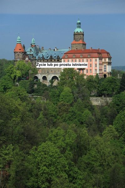 Zycie lub po prostu istnienie (eBook, ePUB)