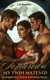 Tortured By My Twin Mates (eBook, ePUB)