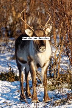 Livet eller bare tilværelsen (eBook, ePUB) - Wagner, Eduard