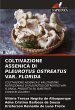 COLTIVAZIONE ASSENICA DI PLEUROTUS... - Bild 1