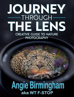 Journey Through the Lens (eBook, ePUB) - Birmingham, Angie