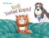 Kedi Yerimi Kapti Kedi Yerimi Kapti