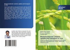 Cover Brassinosteroid: arsenic uptake and transport in rice