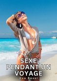 Sexe Pendant un Voyage (eBook, ePUB)