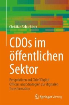 CDOs im öffentlichen Sektor - Schachtner, Christian