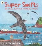 Super Swifts: The Small Bird With Amazing Powers