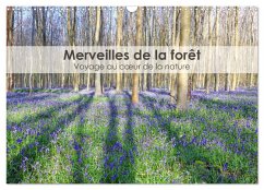 Merveilles de la forêt - Voyage au c¿ur de la nature (Calendrier mural 2025 DIN A3 vertical), CALVENDO calendrier mensuel Merveilles de la forêt - Voyage au c¿ur de la nature (Calendrier mural 2025 DIN A3 vertical), CALVENDO calendrier mensuel