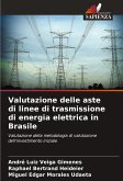 Valutazione delle aste di linee di trasmissione di energia elettrica in Brasile Valutazione delle aste di linee di trasmissione di energia elettrica in Brasile