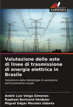 Cover Valutazione delle aste di linee di trasmissione di energia elettrica in Brasile