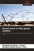 Social work in the penal system