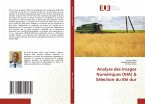 Analyse des Images Numériques (NIA) & Sélection du Blé dur Analyse des Images Numériques (NIA) & Sélection du Blé dur
