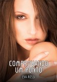 Comprovando um Ponto (eBook, ePUB)