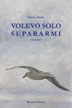 Cover VOLEVO SOLO SEPARARMI (eBook, ePUB)