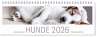 Tischkalender Hunde 2026 - Bild 1