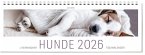 Tischkalender Hunde 2026 Tischkalender Hunde 2026