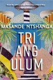 Triangulum (eBook, ePUB)