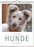 Literarischer Hunde - Kalender 2026 Literarischer Hunde - Kalender 2026