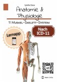 Anatomie & Physiologie Band 11: Muskel-Skelett-System (eBook, ePUB)