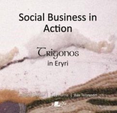 Cover Social Business in Action - Trigonos in Eryri