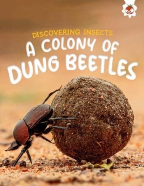 Discovering Insects: A Colony of Dung Beetles Discovering Insects: A Colony of Dung Beetles