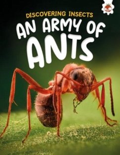 Cover Discovering Insects: An Army of Ants