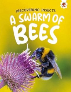 Cover Discovering Insects: A Swarm of Bees