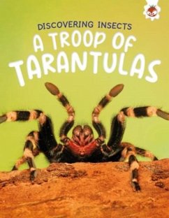 Cover Discovering Insects: A Troop of Tarantulas