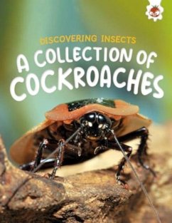 Cover Discovering Insects: A Collection of Cockroaches