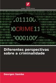 Diferentes perspectivas sobre a criminalidade