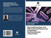 Eisenstoffwechsel und Mikronährstoffstatus bei pulmonaler multiresistenter Tuberkulose