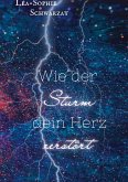 Wie der Sturm dein Herz zerstört