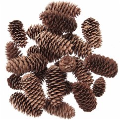 Cover Fichtenzapfen natur 200g