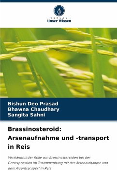 Cover Brassinosteroid: Arsenaufnahme und -transport in Reis