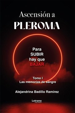 Cover Ascensión a Pleroma (eBook, ePUB)