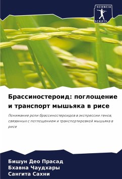 Cover Brassinosteroid: pogloschenie i transport mysh'qka w rise