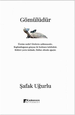 Cover Gömülüdür