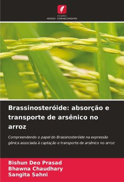 Cover Brassinosteróide: absorção e transporte de arsênico no arroz