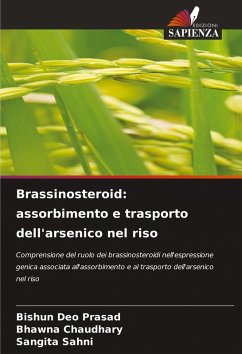 Cover Brassinosteroid: assorbimento e trasporto dell'arsenico nel riso