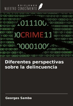 Cover Diferentes perspectivas sobre la delincuencia