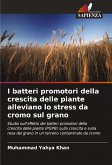 I batteri promotori della crescita delle piante alleviano lo stress da cromo sul grano I batteri promotori della crescita delle piante alleviano lo stress da cromo sul grano