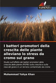 Cover I batteri promotori della crescita delle piante alleviano lo stress da cromo sul grano