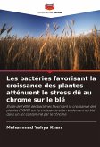 Les bactéries favorisant la croissance des plantes atténuent le stress dû au chrome sur le blé Les bactéries favorisant la croissance des plantes atténuent le stress dû au chrome sur le blé