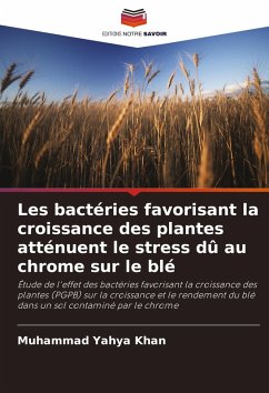 Les bactéries favorisant la croissance des plantes atténuent le stress dû au chrome sur le blé - Khan, Muhammad Yahya