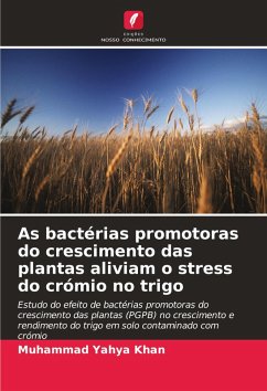 Cover As bactérias promotoras do crescimento das plantas aliviam o stress do crómio no trigo