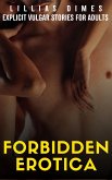 Forbidden Erotica (eBook, ePUB)