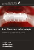 Las fibras en odontología Las fibras en odontología