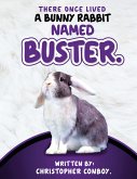 There Once Lived a Bunny Rabbit Named Buster